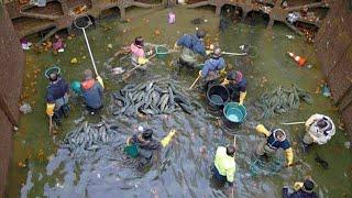 PINATUYO NILA ANG KANAL AT NAKATUKLAS SILA NG MGA KAKAIBANG BAGAY!