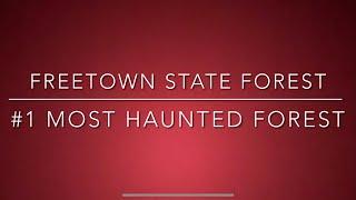 Freetown State Forest /Most Haunted Forest in America :The Bridgewater Triangle