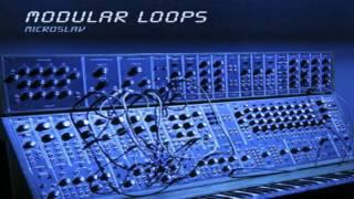 Microslav - Modular Loops