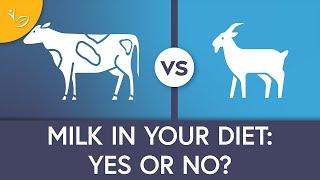 Milk and Weight Loss: The Do's and Don'ts