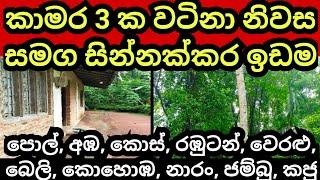 කාමර 3 ක් නිවස හා ඉඩම ලක්ෂ ගාණක් අඩුවට | House for sale | Land for sale | Pol idam | Aduwata idam