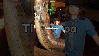 If Titanoboa Did not Extinct #shorts