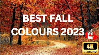 Canada's 2023 Autumn Spectacle in 4K: Breathtaking Fall Foliage 