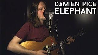 Damien Rice - Elephant (Cover)