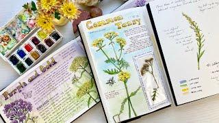 How to Nature Journal - 3 Ways