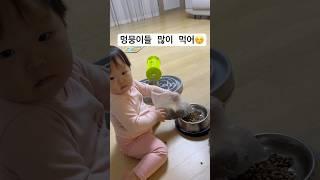 아기의 일상#shorts #baby #cute #일상브이로그 #육아브이로그 #브이로그