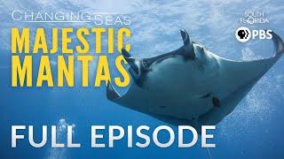 Majestic Mantas  - Full Episode