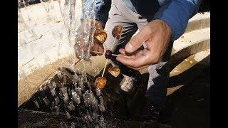 Basteln mit Kastanien ein Wasserrad   Tinker with chestnuts a waterwheel