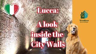 Lucca: a look inside the City Walls: You Ask, We Answer #dogfriendly #lucca #italy #tuscany #toscana