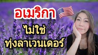 10 สิ่ง ในอเมริกา (ที่คุณอาจไม่ชอบ) ความจริงจากปากคนไทยในชิคาโก‼️