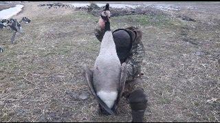 I Took A Gander | Solo Hunt | Late Season Goose Hunting