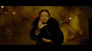 Max Zhang, Zhang Ziyi - Two Kung Fu masters fighting in the SUBWAY