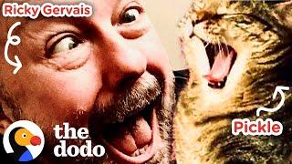 Watch Ricky Gervais Fall In Love With His Foster Cat | The Dodo