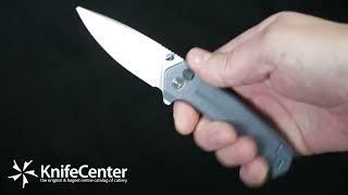 WE Knife Company Culex Button Lock Flipper Knife