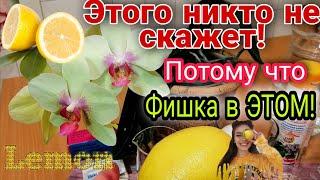 ️ Сколько точно надо взять сока лимона для полива орхидей⁉️