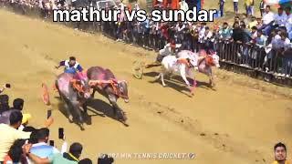 mathur vs sundar binjod sharyat| savli Desai adda| 26.01.2024 #mathur #bailgadasharyat