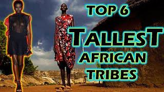 Top 6 TALLEST African Tribes : SOMALI, DINKA, MAASAI, NUER, ANUAK or TUTSI?