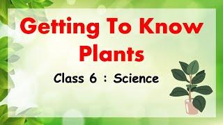 Getting To Know Plants | Class 6 : SCIENCE | CBSE / NCERT Science | Full Chapter Explained