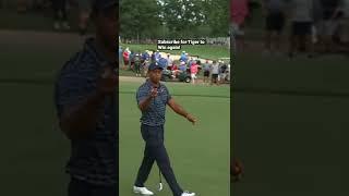 Tiger YELLS at a Cameraman to Back Off! #golf #golfswing #pgatour #pga #tigerwoods #golfer