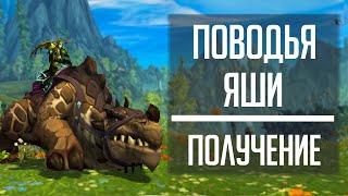 ПОВОДЬЯ ЯШИ - гайд по получению маунта в WoW: Dragonflight!