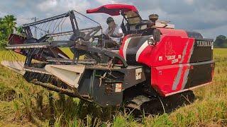 Exploring the Rice Fields | Yanmar AW70V | Combine Harvester | #33