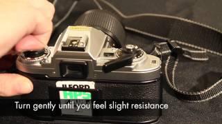 How to load and unload a 35mm film - ILFORD Photo