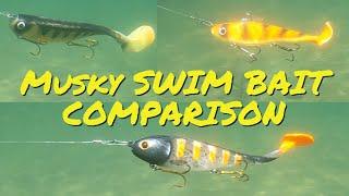 The BEST MUSKY SWIM BAITS! Underwater footage throwdown!