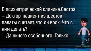 Друзья Расспрашивают Туриста...Большой Сборник Смешных Анекдотов,Для Супер Настроения!