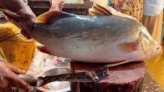 IncIncredible Big Bhetki Fish Cutting Skills In Fish Market | Fish Cutting Skills