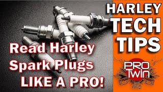 Read Harley Spark Plugs Like a Pro - Kevin Baxter - Pro Twin Performance