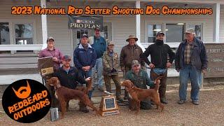 2023 National Red Setter Shooting Dog Championships (Hoffman NC)