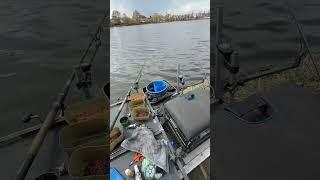 Рибалка на карася  #shorts #fishing #риболовля #фідер #рыбалканафидер #рибак #риболовля #рибалка