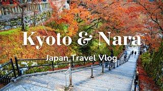 Trip to Kyoto & Nara | First Time in Japan  | Travel Vlog