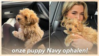 DIT IS TE LIEF... WELKOM THUIS NAVY // weekvlog 11 ࿎ Jade Anna