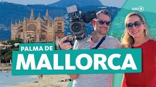 Palma de Mallorca: Inexpensive city trip to the Spanish Balearic Island | WDR Reisen