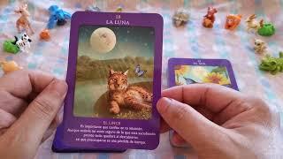 TAROT DE LOS Animales  review