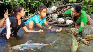 Catch many fish and crabs for food-Cooking crabs soup with mushroom & Grill fish for lunch