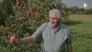 Анатолий Тиханов. Человек на своей земле
