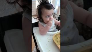 Hungry Kahani started solids with   #6monthsold #babyledweaning