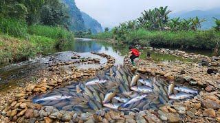 Full video of 90 days of making fish traps in a big stream by boy Lam. Wandering boy