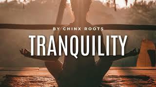 Reggae Beat Instrumental | 2024 | Tranquility