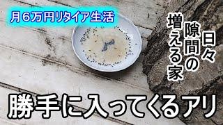 ３００万円の家　毒エサ作り　ホウ酸砂糖水