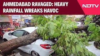 Gujarat Rain News | Trees Uprooted, Roads Blocked, Cars Damaged Due To Heavy Rainfall In Ahmedabad