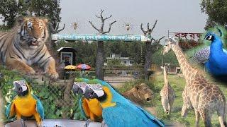 Safari Park Gazipur - Bangabandhu Sheikh Mujib Safari Park, Gazipur in Bangladesh