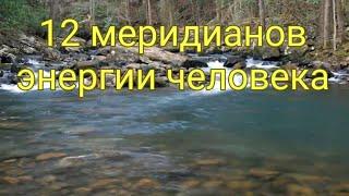 1*. Цигун для начинающих: "12 меридианов энергии человека" @DeduschkaSanja