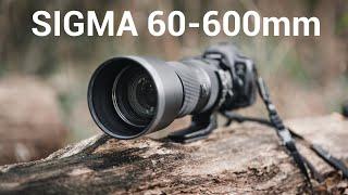 SIGMA 60-600MM WILDLIFE REVOLUTIONIERT? REVIEW [deutsch] SILVIO OESER