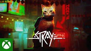 Stray - Coming to Xbox August 10