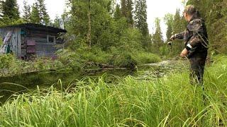 Рыбалка в тайге на микроречке, августовский жор! Сбор грибов.