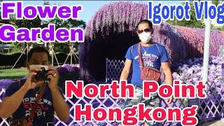 Flower Garden//North Point Hongkong Adventure//Igorot Gardener Adventure