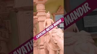 Gayathri Temple Anaheim #usatelugu #usateluguvlogs